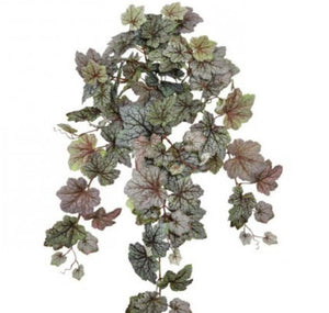 Hanging Begonia Plant