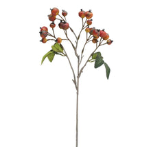 Load image into Gallery viewer, Linden Berry Stem
