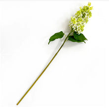 Load image into Gallery viewer, Garden Lilac
