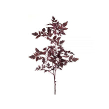 Load image into Gallery viewer, Cimicifuga Leaf Spray
