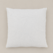 Load image into Gallery viewer, Stonewashed Stitch Border Pillow
