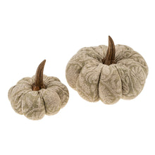 Load image into Gallery viewer, Green Screen Print Pumpkin
