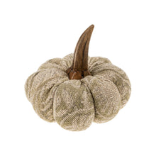 Load image into Gallery viewer, Green Screen Print Pumpkin
