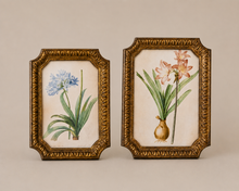 Load image into Gallery viewer, Antiqued Gold Frame
