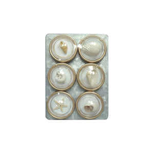 Shell Magnets