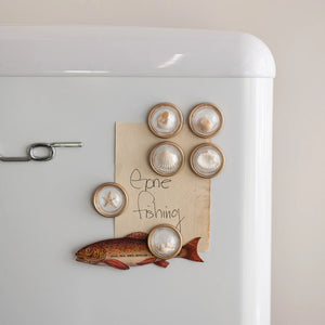 Shell Magnets