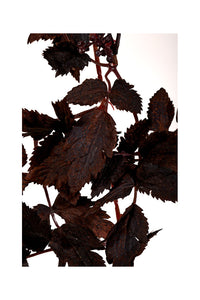 Autumn Ruscus Berry Garland