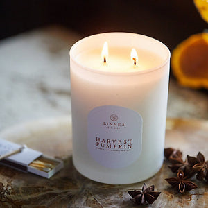Linnea Harvest Pumpkin Candle/Diffuser