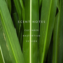 Load image into Gallery viewer, Linnea Cucumber Vine
