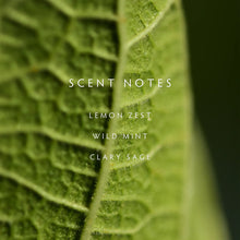 Load image into Gallery viewer, Linnea Crushed Mint Candle
