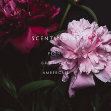 Load image into Gallery viewer, Petals Candle
