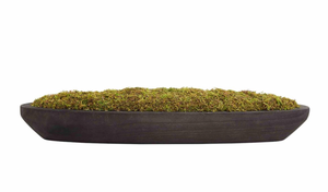 Moss in Black Tray
