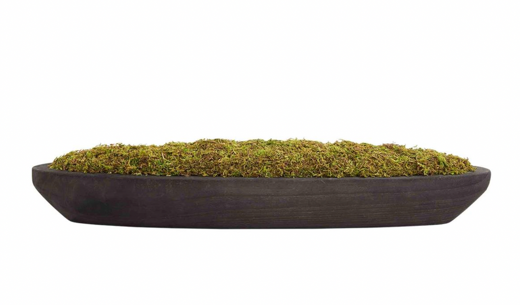 Moss in Black Tray