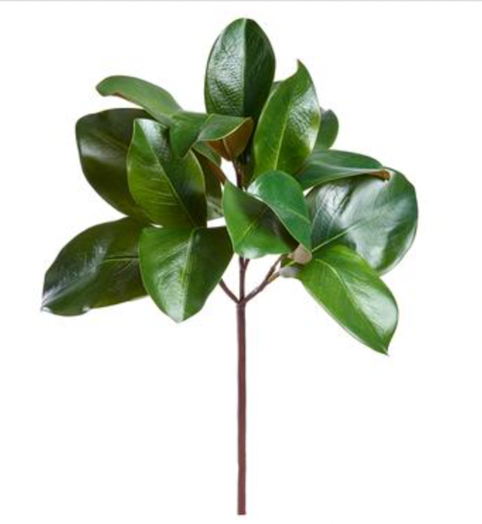 Magnolia Leaf Pick 16