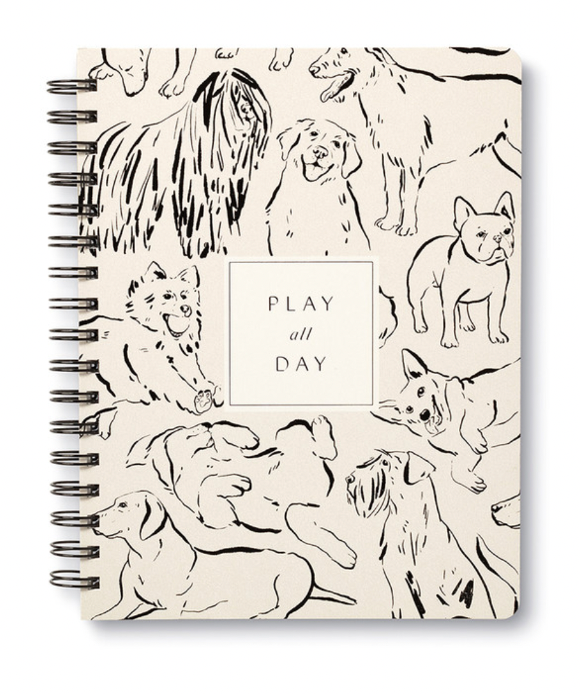 Play All Day Notebook