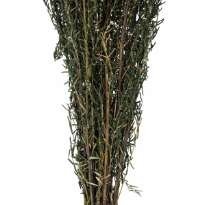 Natural White Preserved Grabia