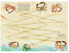 Load image into Gallery viewer, The Big Sticker Book of Blue (The Big Book Series, 10)
