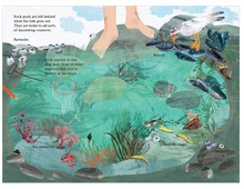 Load image into Gallery viewer, The Big Sticker Book of Blue (The Big Book Series, 10)

