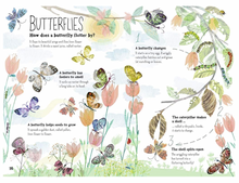 Load image into Gallery viewer, The Big Book of Bugs (The Big Book Series) Hardcover
