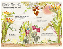 Load image into Gallery viewer, The Big Book of Bugs (The Big Book Series) Hardcover
