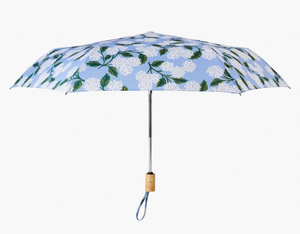 Umbrella-Hydrangea
