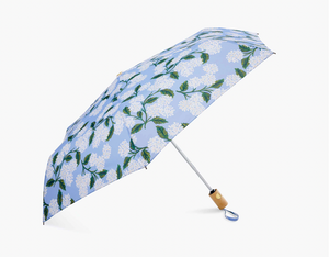 Umbrella-Hydrangea
