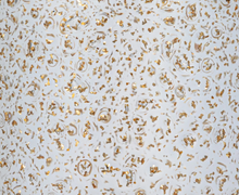 Load image into Gallery viewer, Gold Party Drinking Glass
