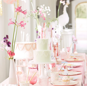 Princess Cupcake Kit
