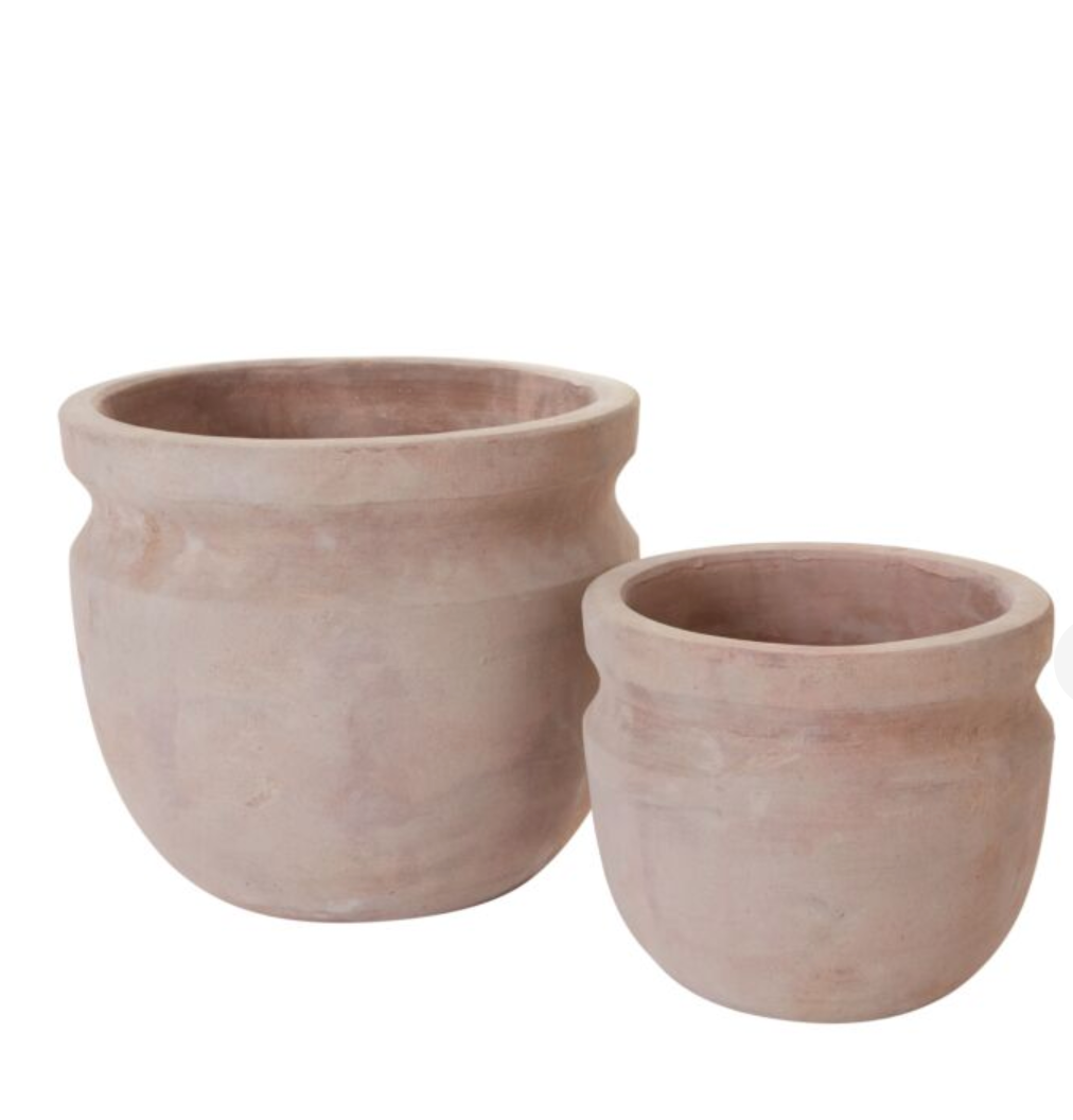 Balos Planter