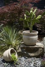 Load image into Gallery viewer, Balos Planter
