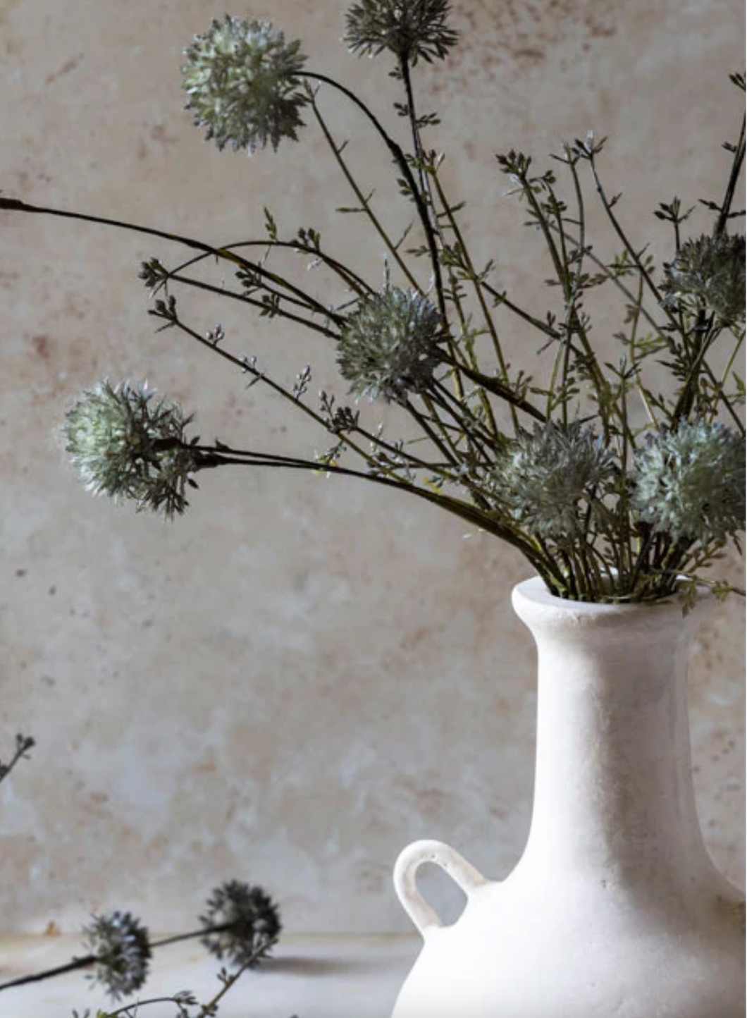 Melaleuca Stem
