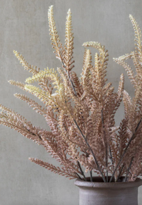 Foxtail Stem