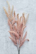 Load image into Gallery viewer, Foxtail Stem
