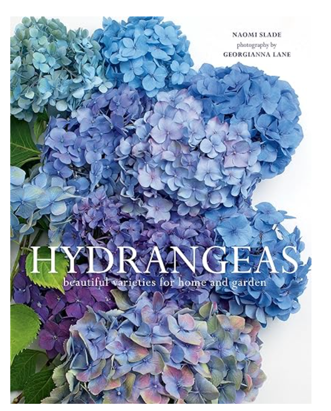 Hydrangeas: Beautiful Varieties for Home and Garden