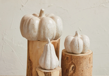 Load image into Gallery viewer, Stoneware Pumpkin
