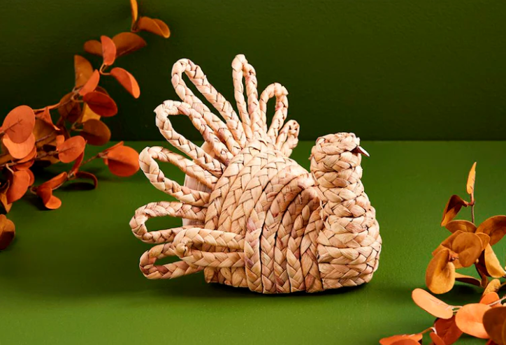 Hyacinth Turkey Sitter