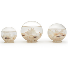 Load image into Gallery viewer, Sealife Globes
