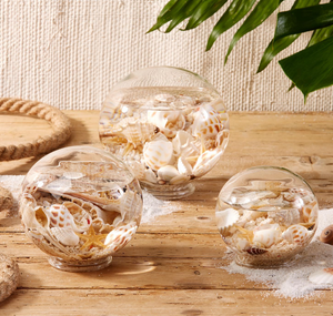 Sealife Globes