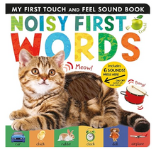 Load image into Gallery viewer, Noisy First Words
