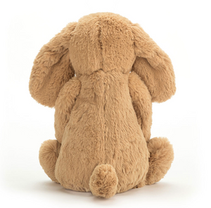 Bashful Toffee Puppy