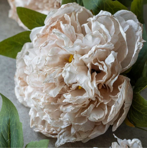 Artificial Peony, Evening Dew