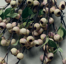 Load image into Gallery viewer, Artificial Hawthorn
