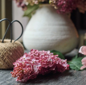 Cone Hydrangea, Sunset