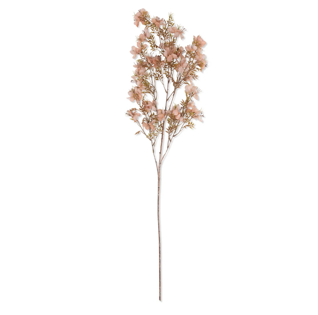 Prunus Blossom