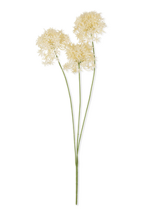 Artificial Allium Bunch, Cream