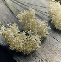 Load image into Gallery viewer, Artificial Allium Bunch, Cream
