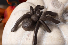 Load image into Gallery viewer, Cast Iron Tarantula
