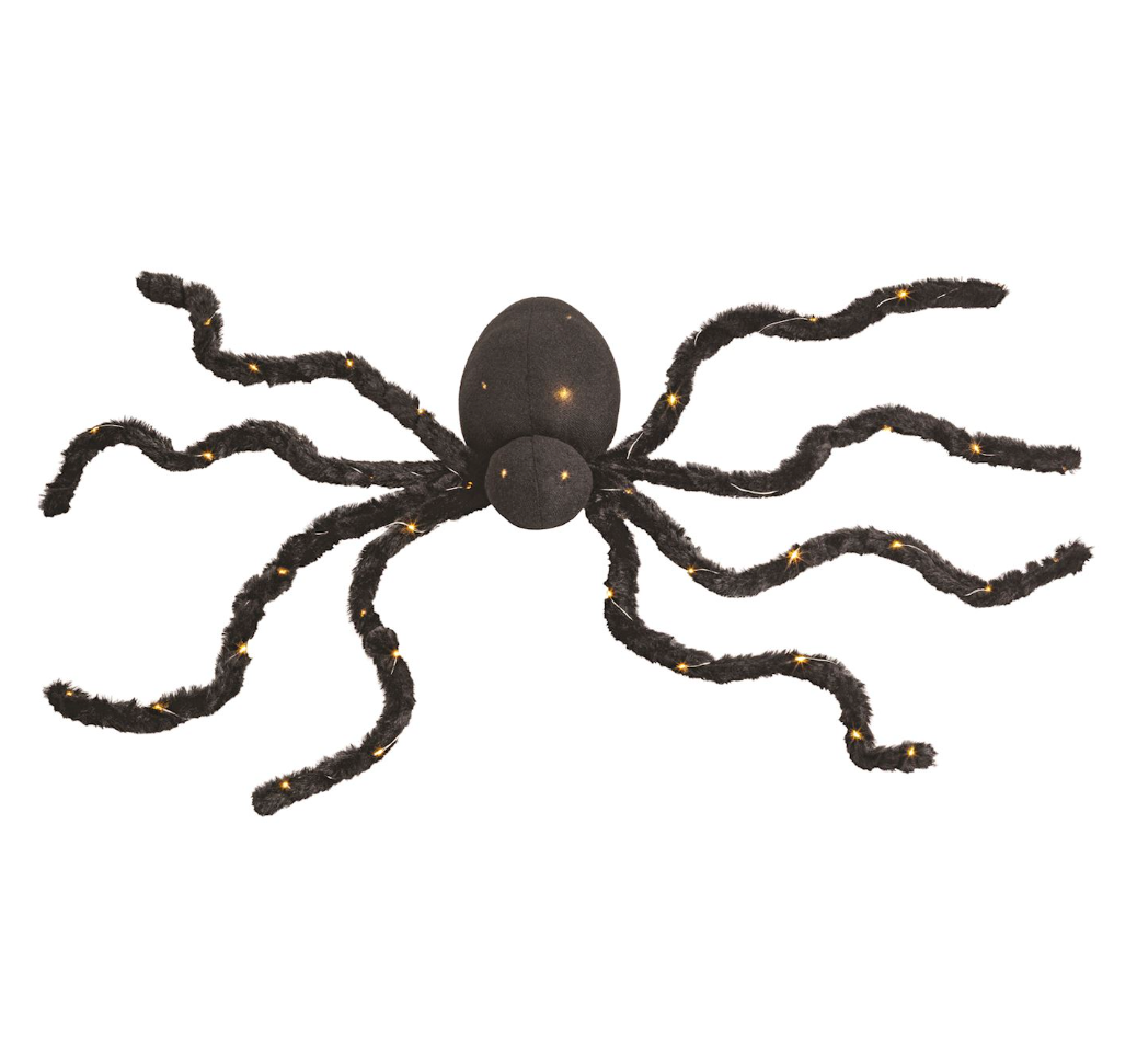Light-Up Halloween Spider