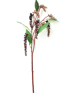 Poke Berry Stem