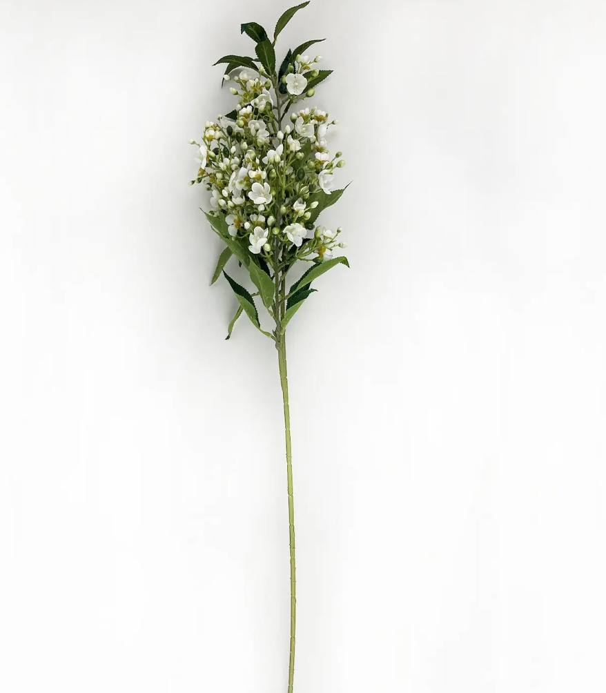 White Tea Tree Branch